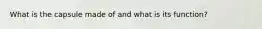 What is the capsule made of and what is its function?