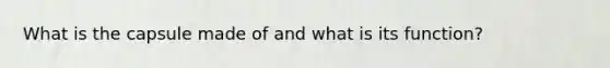 What is the capsule made of and what is its function?
