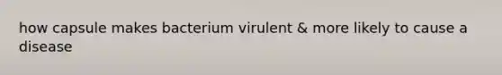 how capsule makes bacterium virulent & more likely to cause a disease