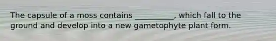 The capsule of a moss contains __________, which fall to the ground and develop into a new gametophyte plant form.