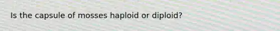 Is the capsule of mosses haploid or diploid?