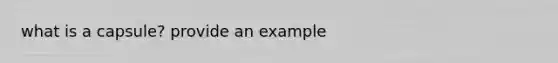 what is a capsule? provide an example