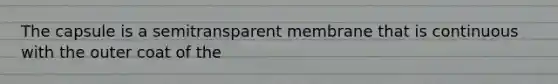 The capsule is a semitransparent membrane that is continuous with the outer coat of the