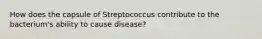 How does the capsule of Streptococcus contribute to the bacterium's ability to cause disease?