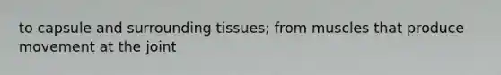 to capsule and surrounding tissues; from muscles that produce movement at the joint