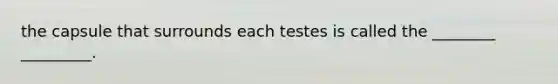 the capsule that surrounds each testes is called the ________ _________.