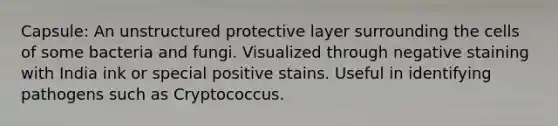 Capsule: An unstructured protective layer surrounding the cells of some bacteria and fungi. Visualized through negative staining with India ink or special positive stains. Useful in identifying pathogens such as Cryptococcus.