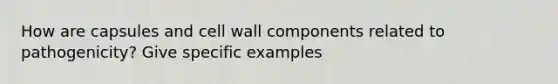 How are capsules and cell wall components related to pathogenicity? Give specific examples