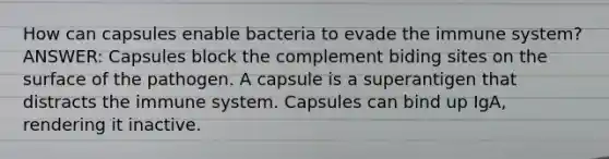 How can capsules enable bacteria to evade the immune system? ANSWER: Capsules block the complement biding sites on the surface of the pathogen. A capsule is a superantigen that distracts the immune system. Capsules can bind up IgA, rendering it inactive.