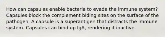 How can capsules enable bacteria to evade the immune system? Capsules block the complement biding sites on the surface of the pathogen. A capsule is a superantigen that distracts the immune system. Capsules can bind up IgA, rendering it inactive.