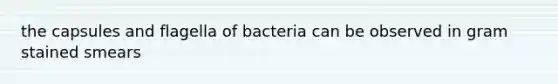 the capsules and flagella of bacteria can be observed in gram stained smears