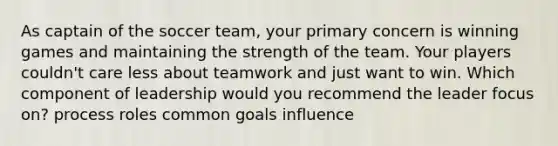 As captain of the soccer team, your primary concern is winning games and maintaining the strength of the team. Your players couldn't care less about teamwork and just want to win. Which component of leadership would you recommend the leader focus on? process roles common goals influence