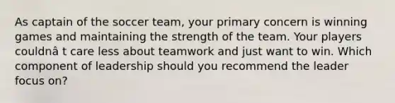 As captain of the soccer team, your primary concern is winning games and maintaining the strength of the team. Your players couldnâ t care less about teamwork and just want to win. Which component of leadership should you recommend the leader focus on?