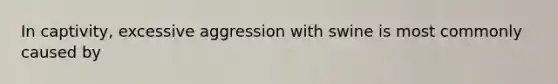 In captivity, excessive aggression with swine is most commonly caused by