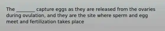 The ________ capture eggs as they are released from the ovaries during ovulation, and they are the site where sperm and egg meet and fertilization takes place