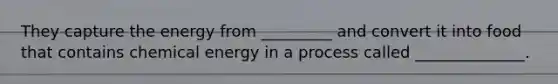 They capture the energy from _________ and convert it into food that contains chemical energy in a process called ______________.