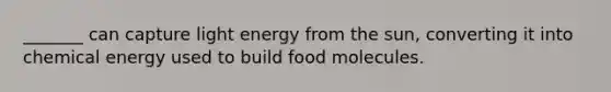 _______ can capture light energy from the sun, converting it into chemical energy used to build food molecules.