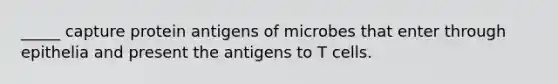 _____ capture protein antigens of microbes that enter through epithelia and present the antigens to T cells.