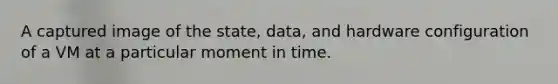 A captured image of the state, data, and hardware configuration of a VM at a particular moment in time.