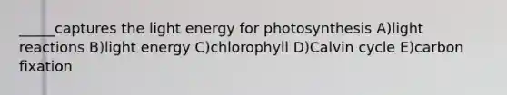 _____captures the light energy for photosynthesis A)light reactions B)light energy C)chlorophyll D)Calvin cycle E)carbon fixation