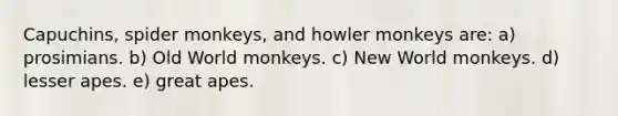 Capuchins, spider monkeys, and howler monkeys are: a) prosimians. b) Old World monkeys. c) New World monkeys. d) lesser apes. e) great apes.