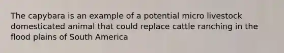 The capybara is an example of a potential micro livestock domesticated animal that could replace cattle ranching in the flood plains of South America