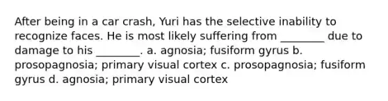 After being in a car crash, Yuri has the selective inability to recognize faces. He is most likely suffering from ________ due to damage to his ________. a. agnosia; fusiform gyrus b. prosopagnosia; primary visual cortex c. prosopagnosia; fusiform gyrus d. agnosia; primary visual cortex