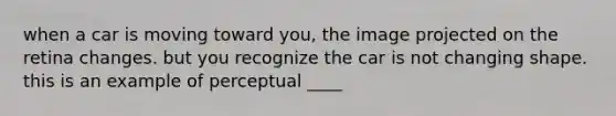 when a car is moving toward you, the image projected on the retina changes. but you recognize the car is not changing shape. this is an example of perceptual ____