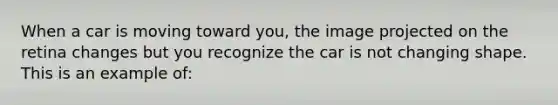 When a car is moving toward you, the image projected on the retina changes but you recognize the car is not changing shape. This is an example of: