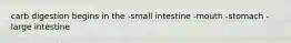 carb digestion begins in the -small intestine -mouth -stomach -large intestine