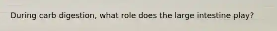 During carb digestion, what role does the large intestine play?