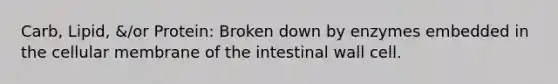 Carb, Lipid, &/or Protein: Broken down by enzymes embedded in the cellular membrane of the intestinal wall cell.