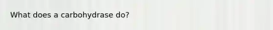 What does a carbohydrase do?