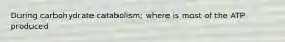 During carbohydrate catabolism; where is most of the ATP produced