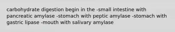 carbohydrate digestion begin in the -small intestine with pancreatic amylase -stomach with peptic amylase -stomach with gastric lipase -mouth with salivary amylase