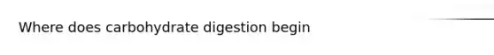 Where does carbohydrate digestion begin