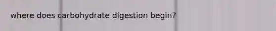 where does carbohydrate digestion begin?