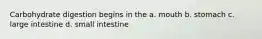 Carbohydrate digestion begins in the a. mouth b. stomach c. large intestine d. small intestine