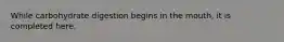 While carbohydrate digestion begins in the mouth, it is completed here.