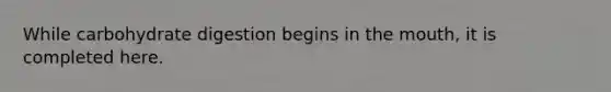 While carbohydrate digestion begins in the mouth, it is completed here.