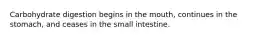 Carbohydrate digestion begins in the mouth, continues in the stomach, and ceases in the small intestine.