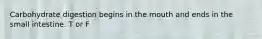 Carbohydrate digestion begins in the mouth and ends in the small intestine. T or F
