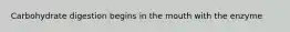 Carbohydrate digestion begins in the mouth with the enzyme