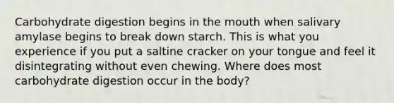 Carbohydrate digestion begins in the mouth when salivary amylase begins to break down starch. This is what you experience if you put a saltine cracker on your tongue and feel it disintegrating without even chewing. Where does most carbohydrate digestion occur in the body?