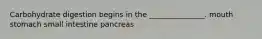 Carbohydrate digestion begins in the _______________. mouth stomach small intestine pancreas