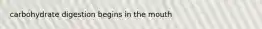 carbohydrate digestion begins in the mouth