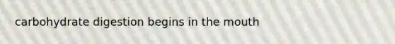 carbohydrate digestion begins in the mouth