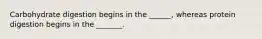 Carbohydrate digestion begins in the ______, whereas protein digestion begins in the _______.