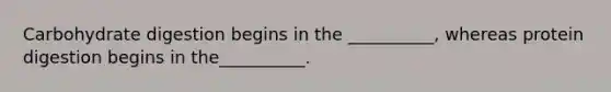 Carbohydrate digestion begins in the __________, whereas protein digestion begins in the__________.