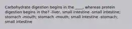 Carbohydrate digestion begins in the ____, whereas protein digestion begins in the? -liver, small intestine -small intestine; stomach -mouth; stomach -mouth; small intestine -stomach; small intestine